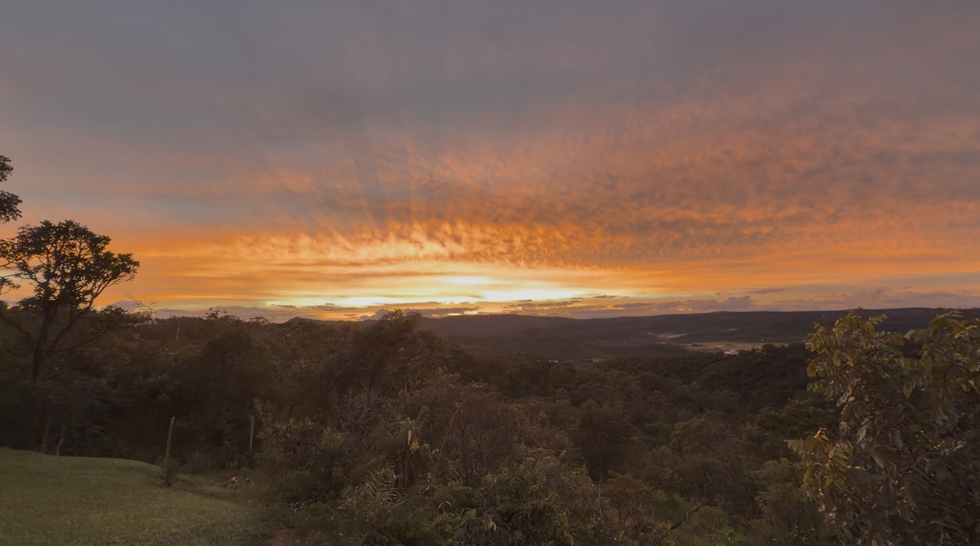 Coffee farms in Brazil