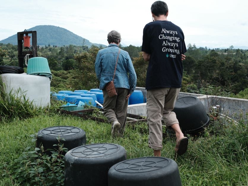 Coffee farm in Sumatra